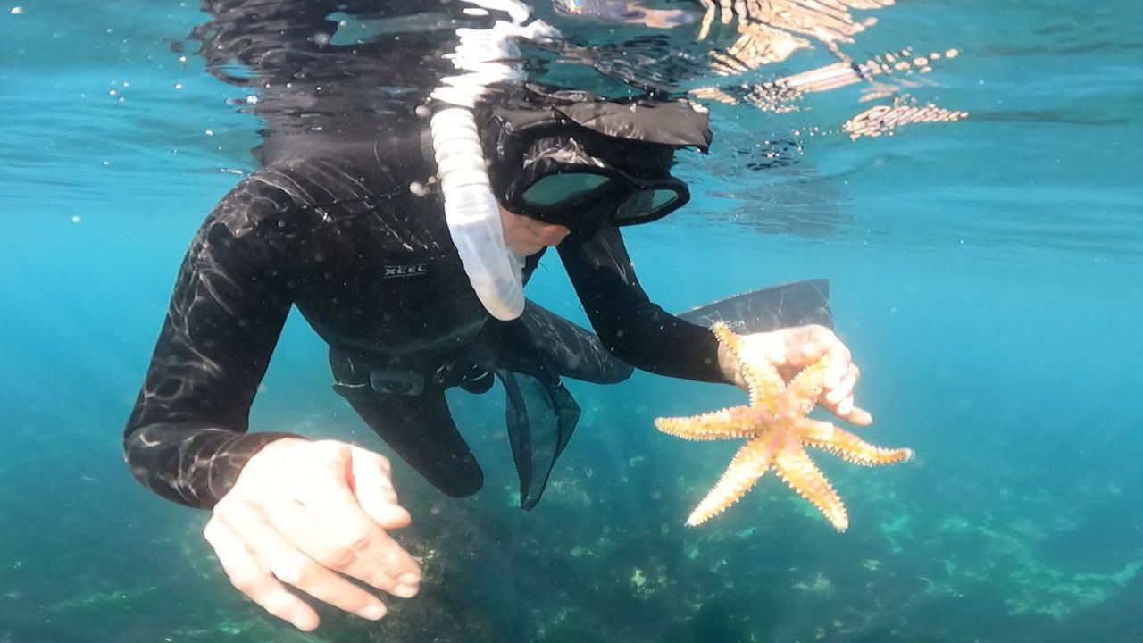 Catalina Mekis | Bitácora de una exploradora
